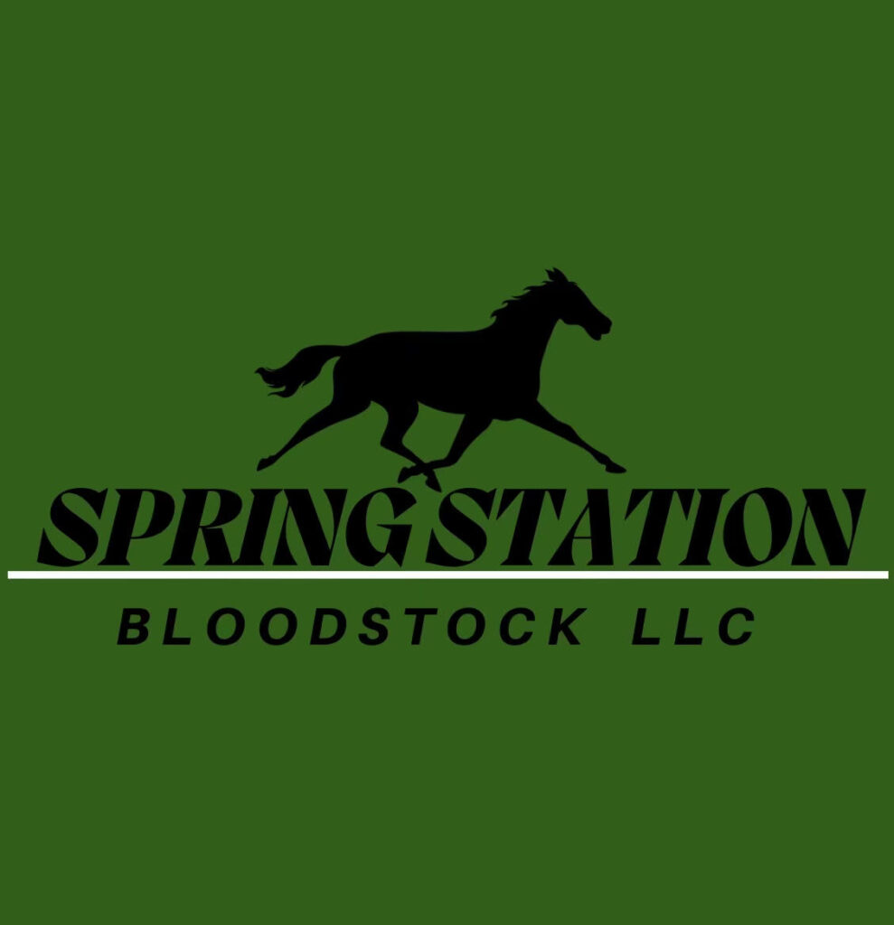Spring Station